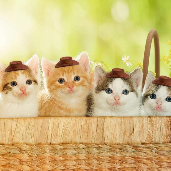 10Pcs Party Decor Hats Mini Novelty DIY Creative Western Cowboy Cake Decor Hats Party Supplies