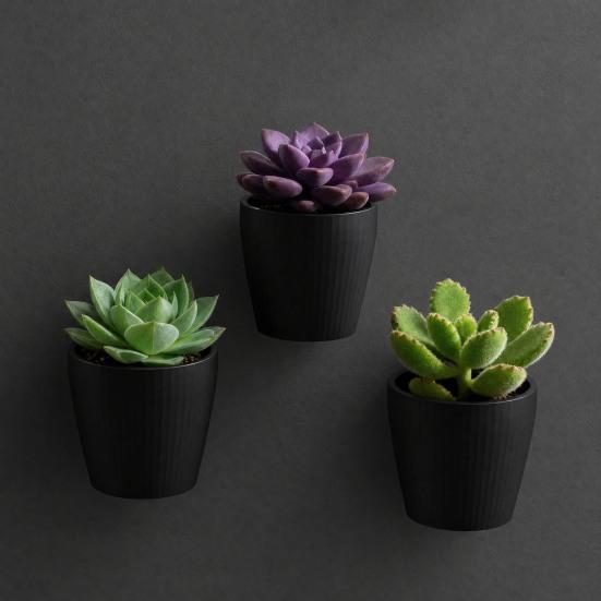 3D Printed Wall Planter, Hanging Indoor Flower Pot for Succulents, Minimalist Black Plant Holder for Home Office