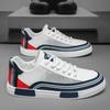 Men's Shoes 2025 New Spring and Autumn Same Thin Mesh Sneakers New Thin Men's Casual Board Shoes