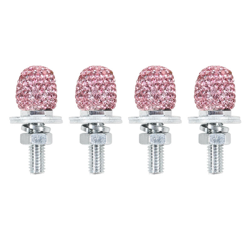 

4Pcs/Set Decorative License Plate Bolts Exquisite Car Holder Screw Fastener Set Compatible With Most Vehicles And Trucks 4PCS-B