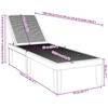VidaXL Height-Adjustable 4-Position Chaise Longue, Sunbed, Seat with Backrest, Garden Patio Sun Lounger 4008100