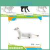 Realistic African Lion And Ferret Figurine Set Featuring Majestic Animal Models