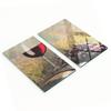 Decorative Glass Kitchen Chopping Boards Red Wine 2x30x52 Cm