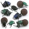 Cross-Border Insect Wildlife Model: Beetle & Scarab for Children's Science Education and Sand Table Decor