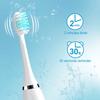 New Smart Electric Toothbrush USB Rechargeable Teeth Clean Whitening Sonic Toothbrush Timing Tooth Brush With Replacement Heads