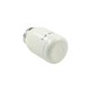 Cartoon Stainless Steel Mini Colorful Bottle Vacuum Flask Mug Travel Thermocup