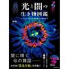 Glow-in-the-Dark Creatures: A Black Light Journey Through Beautiful Lifeforms