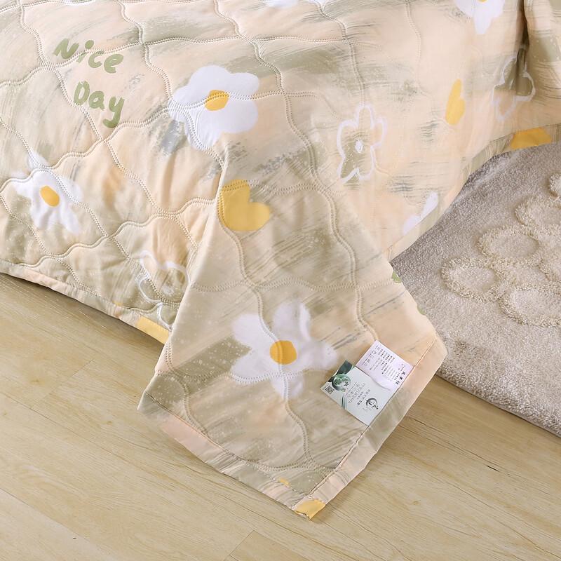 Qingqing Mugwort Antibacterial Summer Quilt