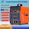 Shanghai Dongsheng WSE-250M AC/DC Pulse TIG Welder for Aluminum, Copper, Stainless Steel