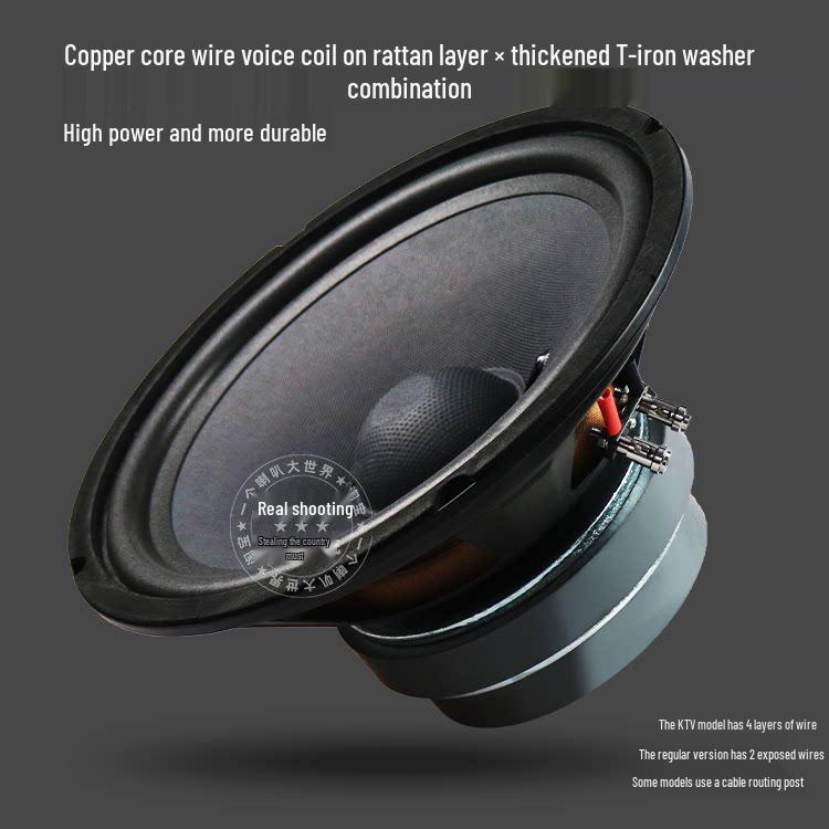 8" 10" 12" Dual Magnet Woofer Speaker Box for KTV Karaoke