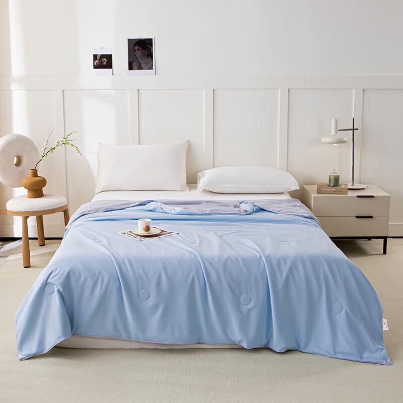 PAUI DAVID Aivi Bentley Blue All-Season Comfort Quilt