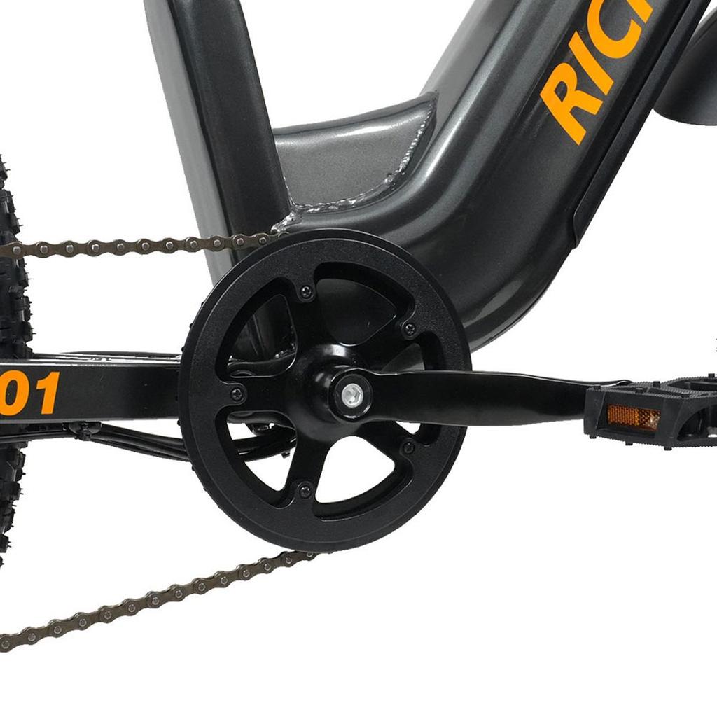 RICH BIT C01 750W*2 Çift Motorlu Arazi Elektrikli Bisiklet 48V20Ah Batarya 26*4.0 İnç Kalın Lastikler Yetişkin Dış Mekan Sürüşü E-Dağ Bisikleti