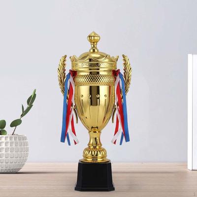 Adults Trophy Award Cup, Mini Awards Funny ,Binaural for Kids,