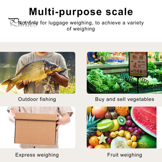 Bilancia Elettronica Portatile con Gancio/Cinghia 110lb/50kg Display LCD a Batteria Portatile da Appendere Borsa da Pesca Valigia da Viaggio Bagaglio Peso Digitale