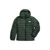 The North Face Мужская пуховая куртка SUMMIT NF0A7UT8-I0P