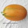 Frutta e Verdura Artificiali - Uva, Banana, Mela per Decorazione Ristorante e Materiale Didattico.