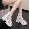 Fashion 9CM Women Leisure Chunky Platform Sandals Peep Toe High Heels Gladiator Goth Slippers Woman Trendy Summer Lace Beach Sandals