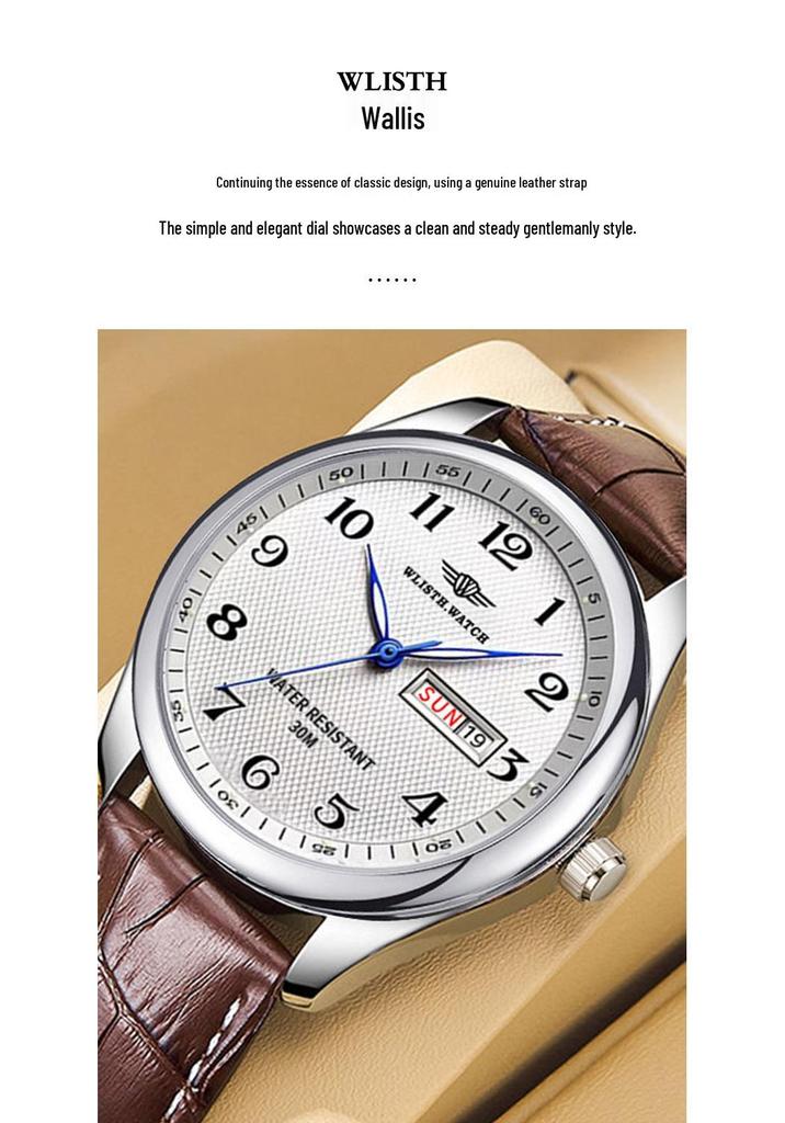 Wolis Luxury Waterproof Men's Day-Date Luminous Watch