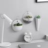 1 PCS Wall Decorative Plastic Hanging Planters Pot Wall Mounted Flower Planter Garden Indoor Wall Decor Durable for Plants