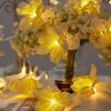 Fiber Optic LED Optic Fairy Light Simulation Lantern Strings Christmas Decoration Atmosphere Lights Artificial Flowers for 3V