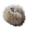 ZDFURS Echter Fuchs Pelzkragen & Schal 100% Natürlich Winterlich Warm Atmungsaktiv Pelz mit Magnet Quadratischer Stil für Damen Outdoor-Nutzung