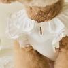 Pet Spring Dress Lace Flying Sleeve Teddy Bottom Shirt Cat T-shirt Top Puppy Clothes Dog Clothes for Small Dogs