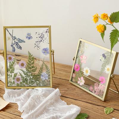 4 Inch 6 Inch Diy Glass Photo Frame Handmade Creative Simple Dried Flower Picture Frame Minimalist Table Ornament