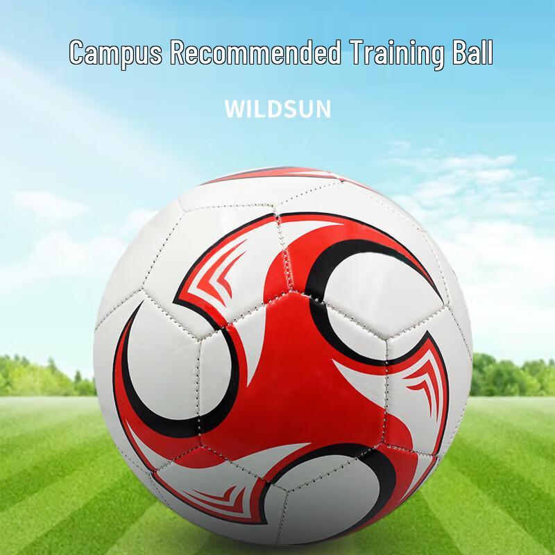 SHXI Kids Training Soccer Ball (2-Pack)