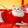 New Year's cat clothes are festive and New Year's greetings can be traced to a puppet, a blue cat to keep warm, a fleece jacket, a puppy, a kitten,