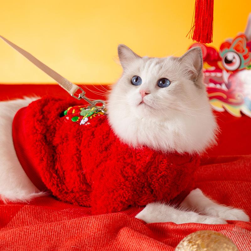 New Year's cat clothes are festive and New Year's greetings can be traced to a puppet, a blue cat to keep warm, a fleece jacket, a puppy, a kitten,
