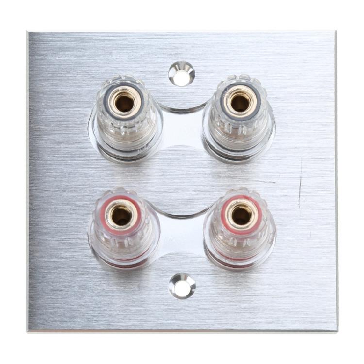 

Socket Plate with Binding Post Inset Wall Plate Audio Surround Sound