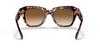 Sunglasses RB2186 PINK HAVANA 52 [Ray-Ban]