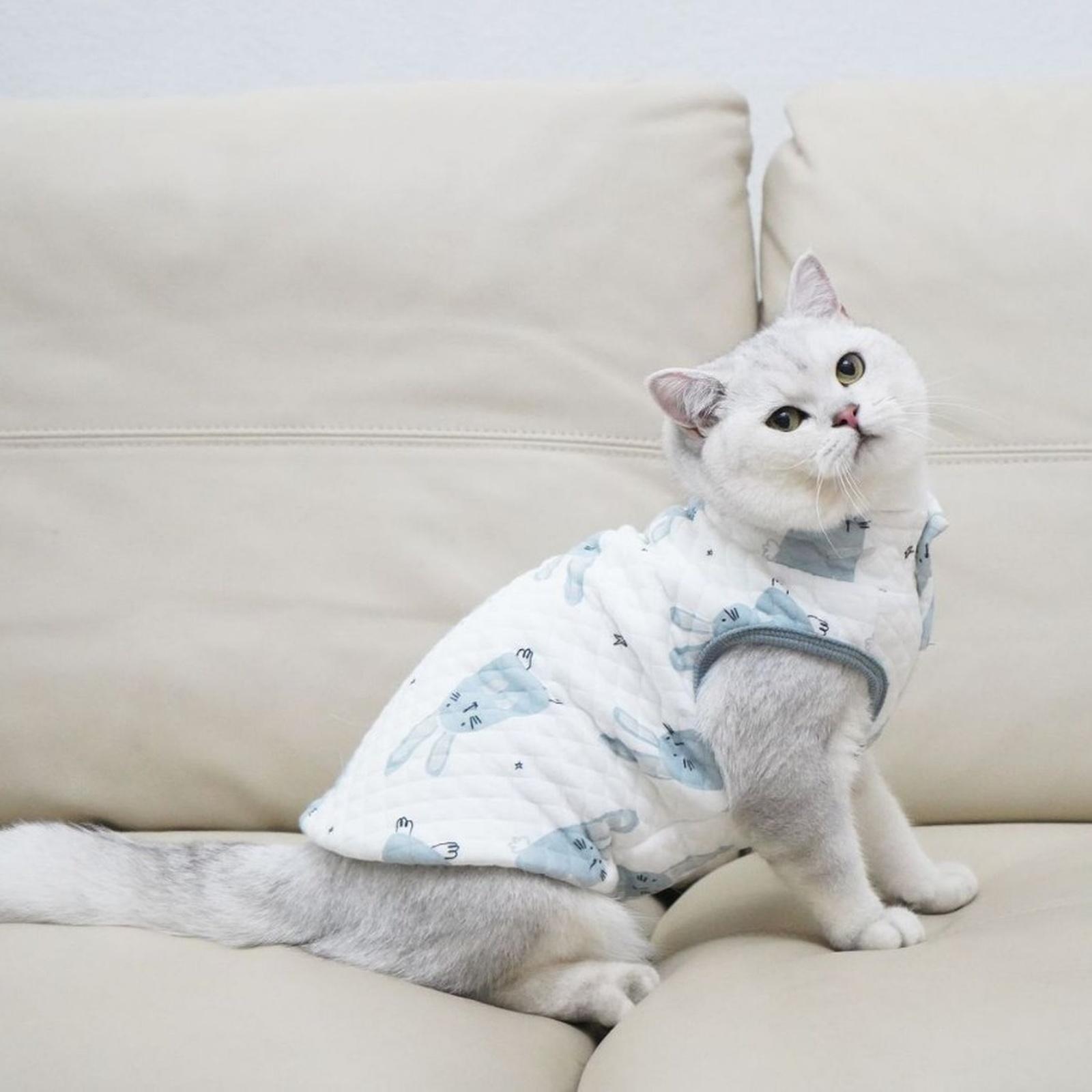 

-Зимний жилет: Стеганая Утепленная Домашняя Одежда Для / Заштрихованный С S