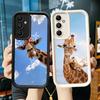 Phone Case for Samsung Galaxy A17 A16 A15 A14 A13 Giraffe Animal Pattern A56 A36 A26 A55 A35 A25 A54 A34 A24 A53 A33 A23 A07 A06