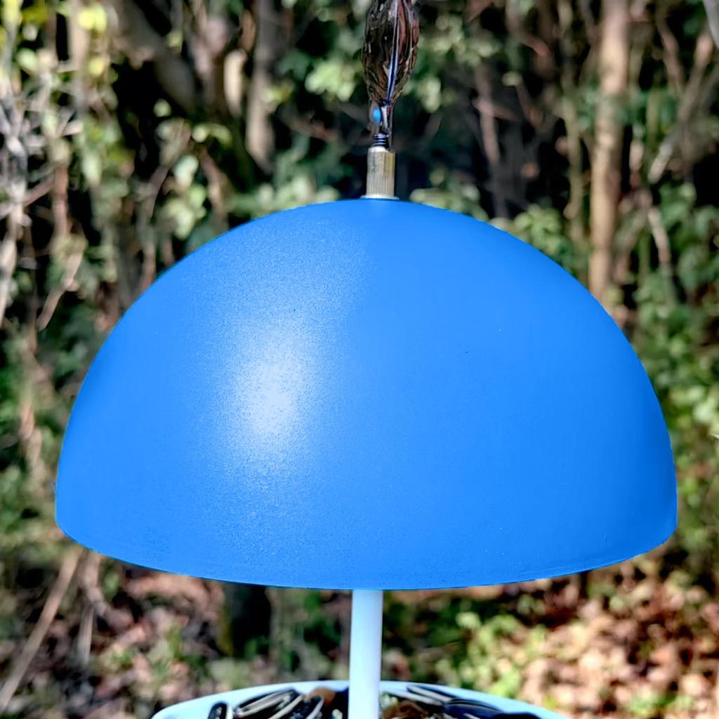 Feeder Dome Bird Feeder For Small Birds - Feeder For Mealworms - Bird Feeder Dome Cover Outdoor Bird Feeder