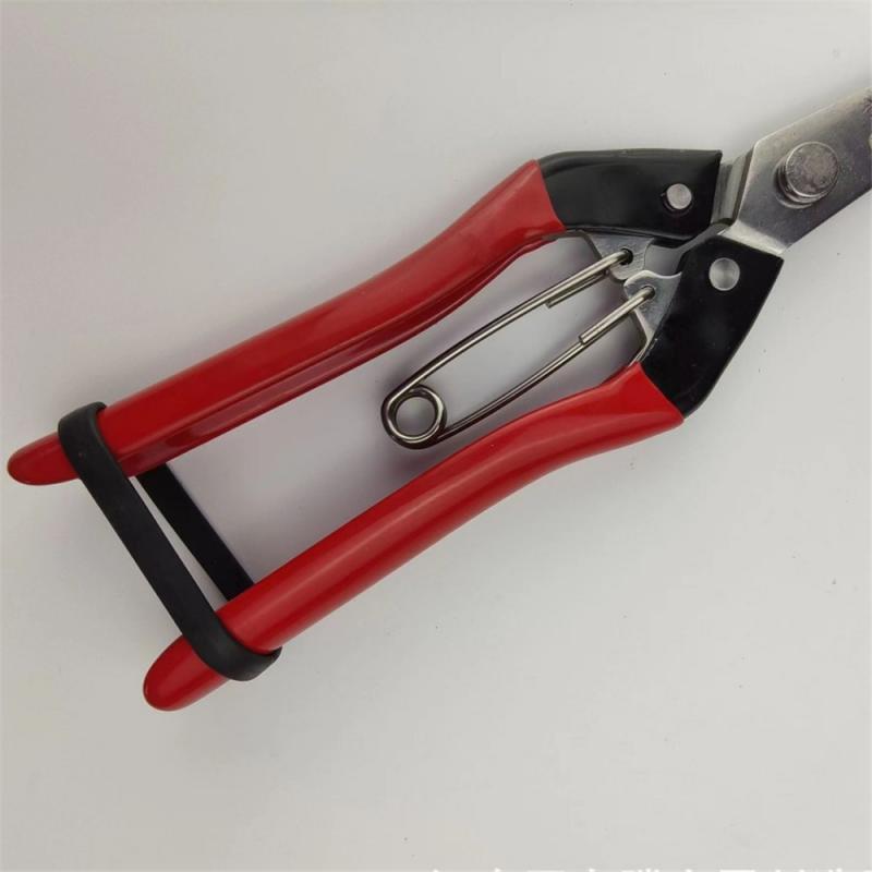 Pointed Scissors Convenient Ergonomic Design Non-slip Handle Fits The Palm Ease Of Use Flower Pruning Garden Fruit Shears Cozy