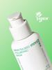 Innisfree Green Tea Seed Hyaluronic Acid Serum 80ml – Best-Selling Hydrating & Soothing Serum