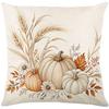 Harvest Festival Throw Pillow Cover 18x18in with Straw and Pumpkin Pattern