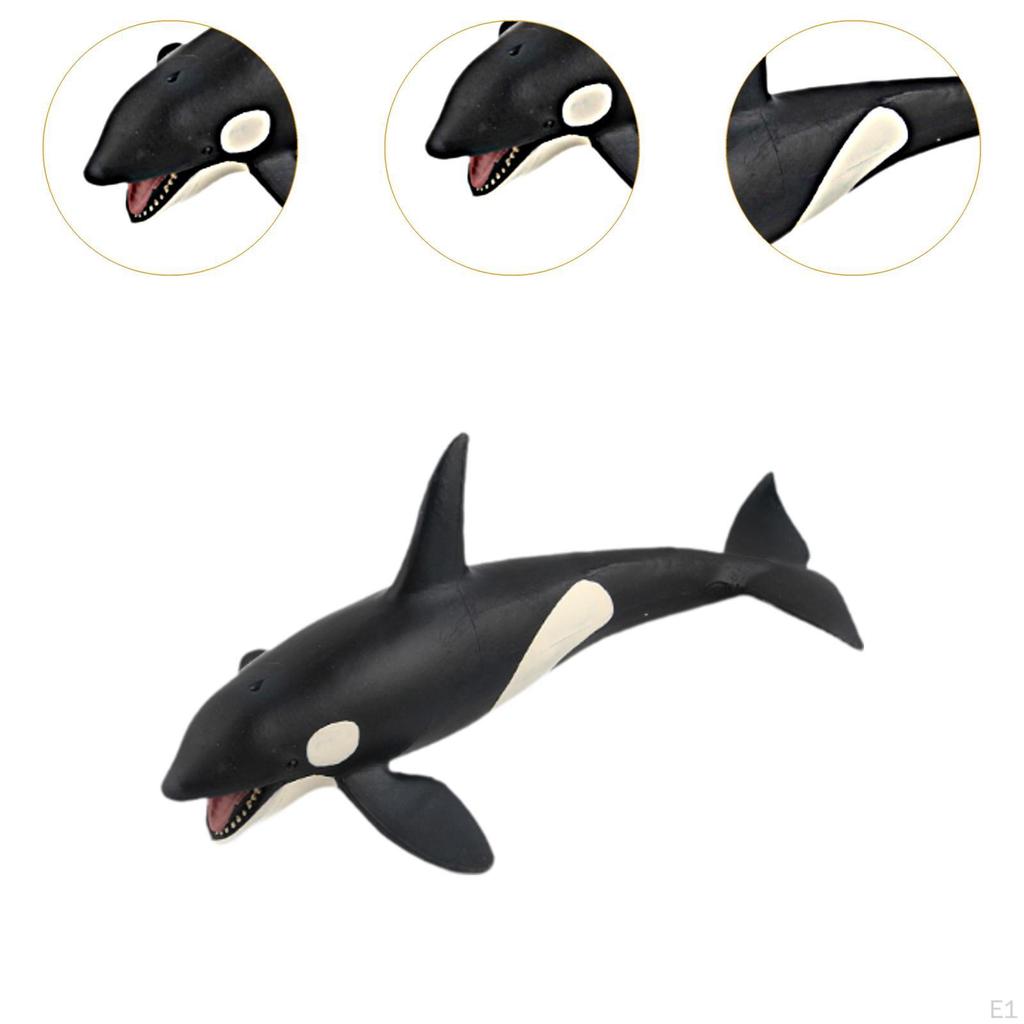 Realistic Whales Figures Model Animal Collection Party Favor Marine Life Kids Play Toy