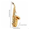 Curved Saxophone Shiny Woodwind Instrument Ergonomic for Students