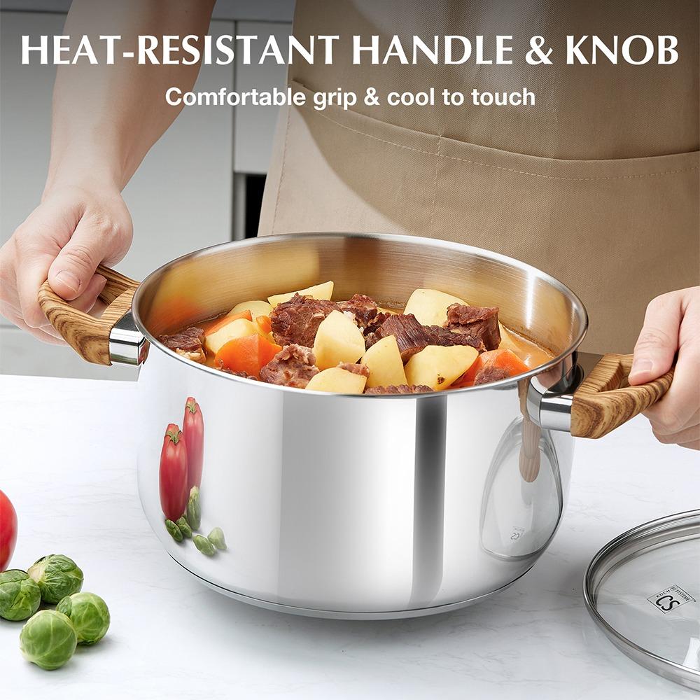 CSK Stainless Steel Pot 8 Quart Stock Pot with Visible Lid for Soup Pasta Vegetable Double Handle Dishwasher Safe