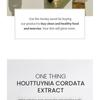 ONE THING - Houttuynia Cordata Extract Toner Jumbo