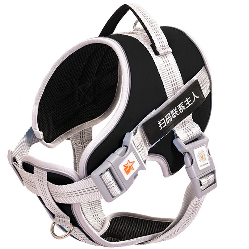 Adjustable Explosion-Proof Dog Leash and Harness for Walking
