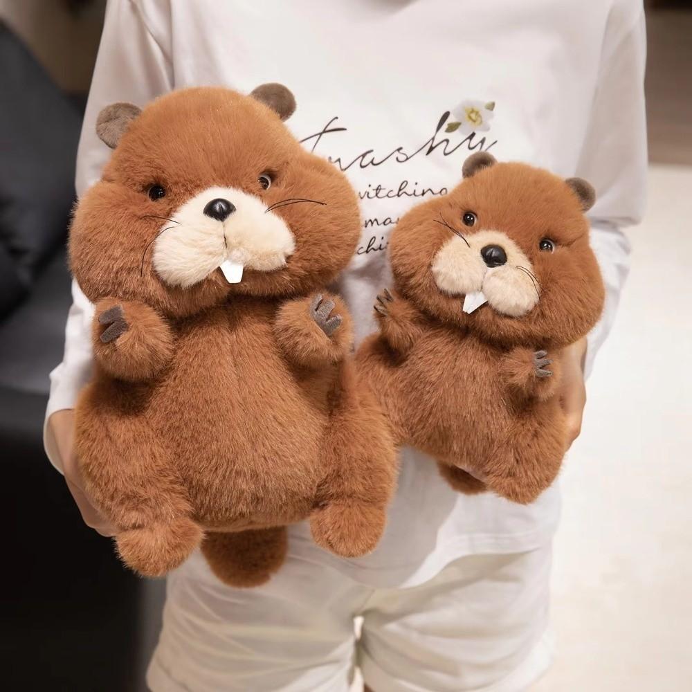 22-35 CM Cartoon Doll Soft Texture Warm Appease Doll Chubby Groundhog Doll  For Children