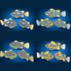 8 PCS Electronic Fish Activated Battery Powered Toy Childen Pet Holiday Gift Can Swims Hwy