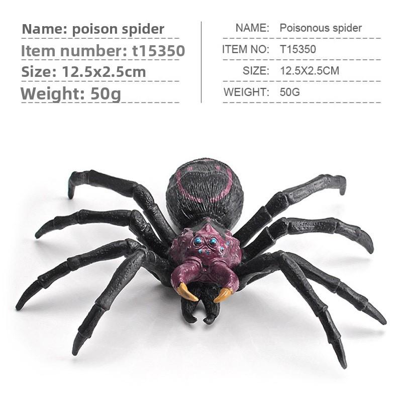 Spider Model Set With Plastic Material For Home Decor And Gift For Nature Lovers