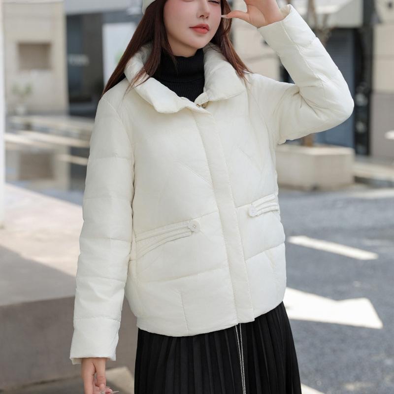 Daunenjacke Damen High-End Damen Kurzmodelle 2024 Neue Winter Damenbekleidung Stehkragen Warme Entendaunen