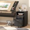 Lockable Two-Drawer Filing Cabinet, with Wheels - Black