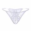 Open Panties Female Interest Temptation Lace Low Waist Ultra-thin Transparent Mesh Sexy Hot Women's Thong Open Crotch