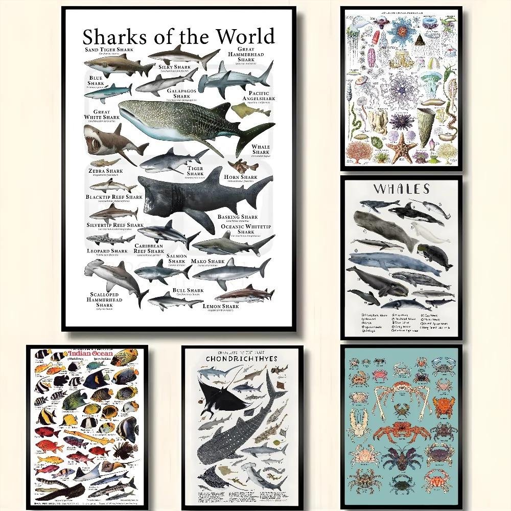 Whale and Shark Seashells Turtles Octopus Fish Marine Life Ocean Animals Poster and Print Canvas Painting  Wall Art Home Living Room